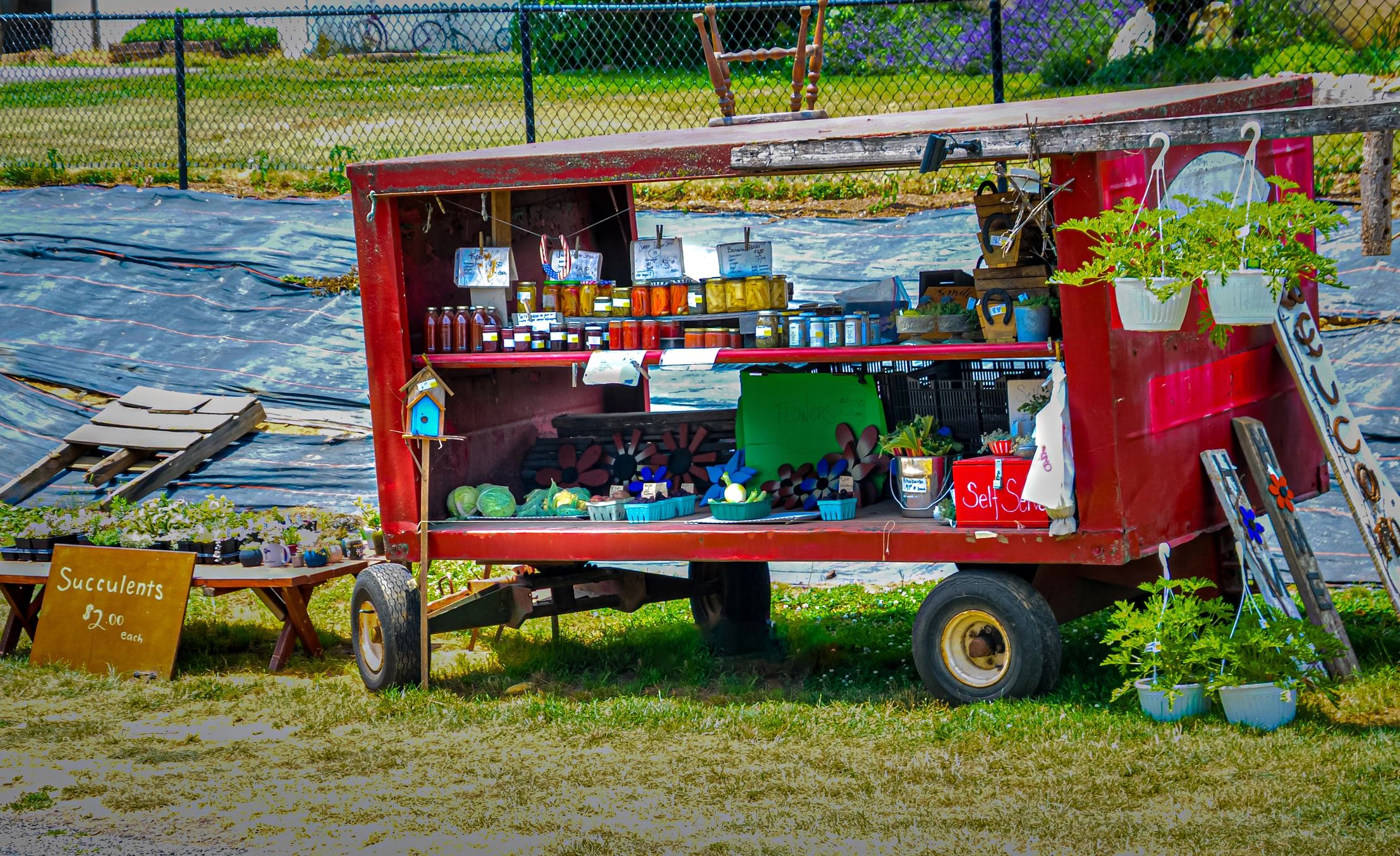pennsylvania snacks wholesale display